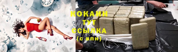 дмт Абаза