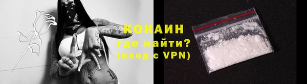 дмт Абаза