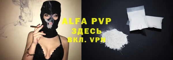 стафф Алзамай
