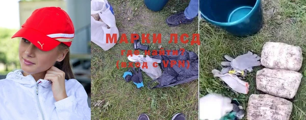 ГАЛЛЮЦИНОГЕННЫЕ ГРИБЫ Алексин