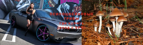 дмт Абаза