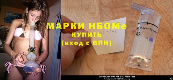 дмт Абаза